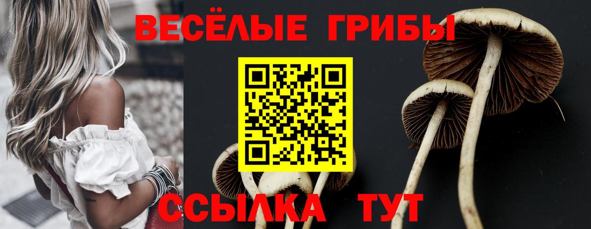 Псилоцибиновые грибы мухоморы  Вход с VPN  Видное 